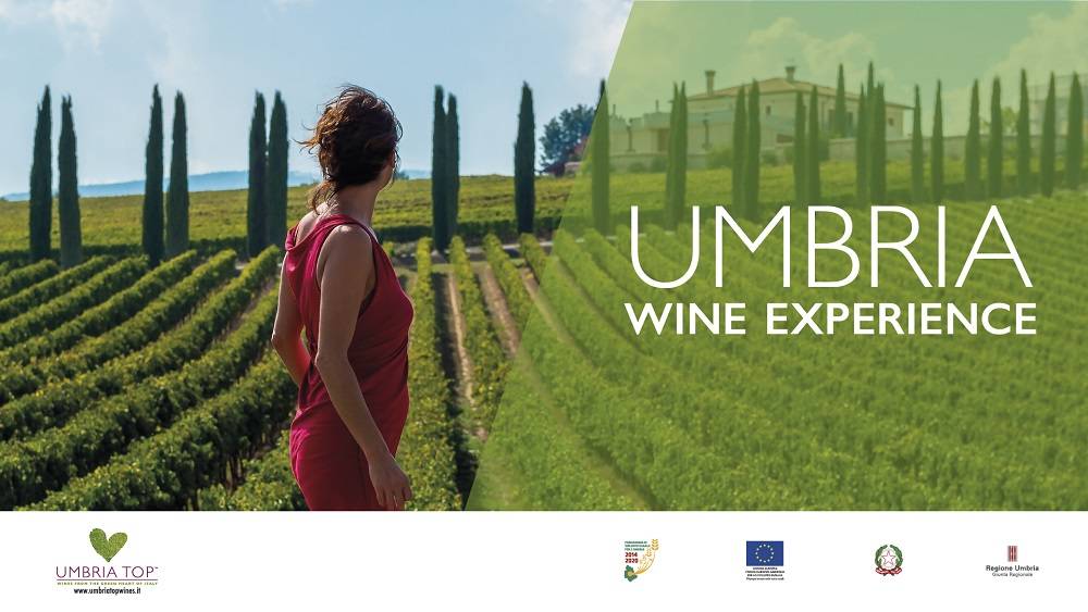 Umbria Wine Experience