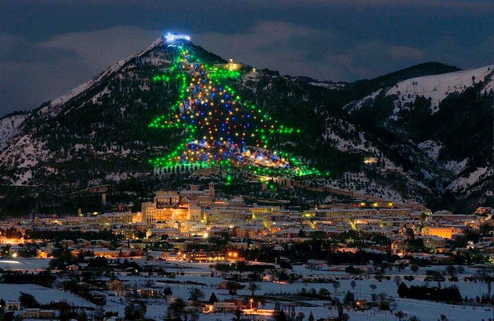 Accensione Albero di Natale più Grande del Mondo