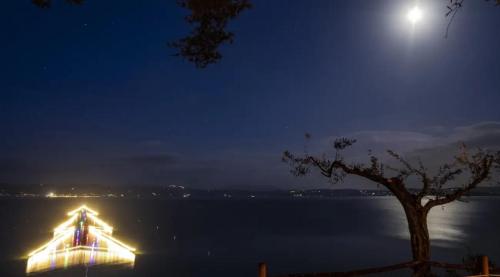 Luci-sul-Trasimeno-Albero-con-luna-(Roberto-Pagnotta)